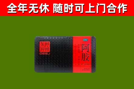 邹城回收阿胶